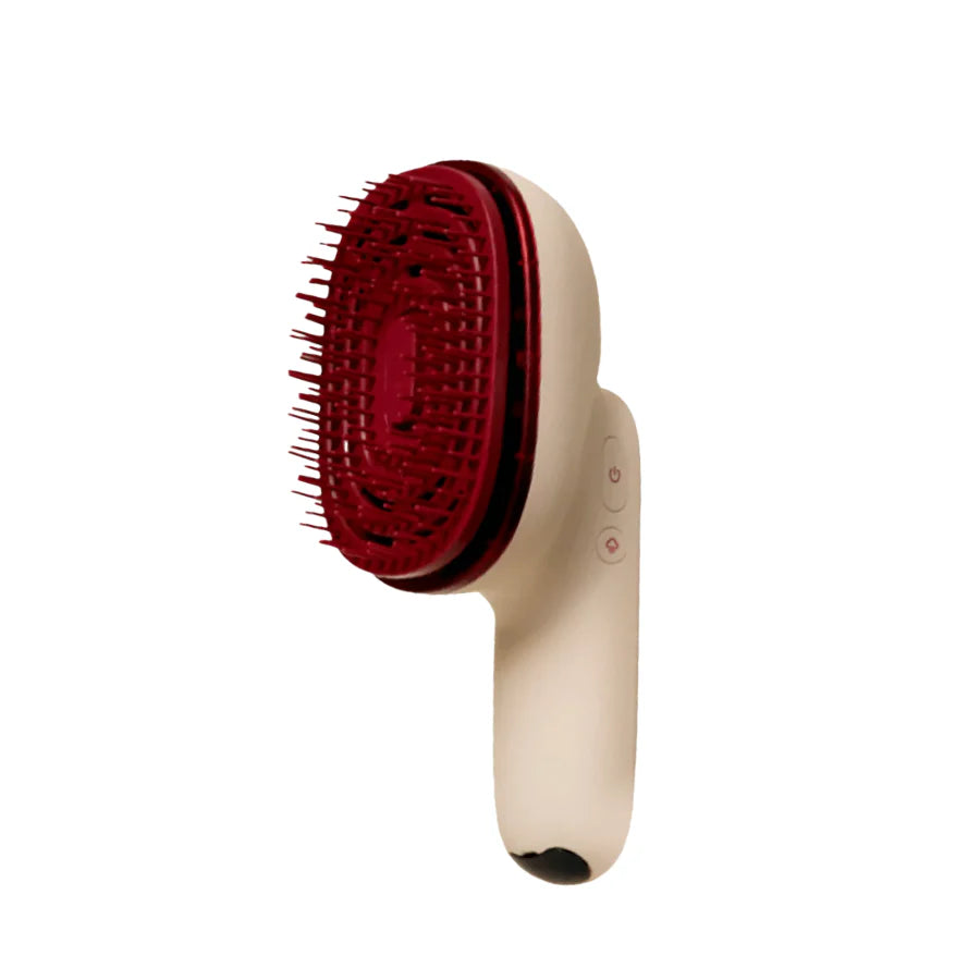 Hair Steamer Pro (Vaporizador Capilar Inalámbrico)